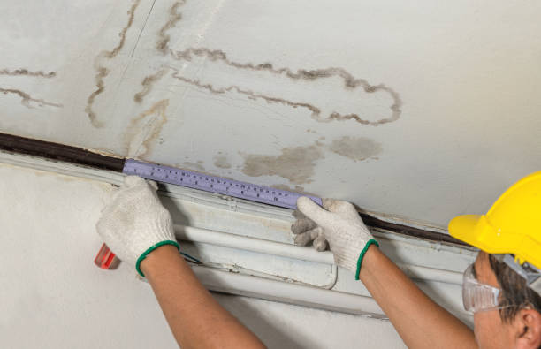 Reliable Mold Remediation contractor in Terrell, TX by Local Water Damage Repair